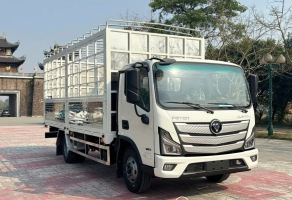 FOTON AUMARK S50