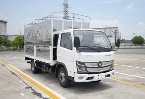 FOTON AUMARK X25L